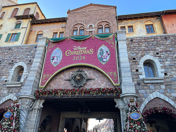 【DISNEY】2024.12.14パークの様子